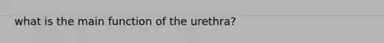 what is the main function of the urethra?