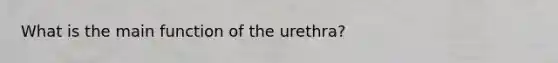 What is the main function of the urethra?