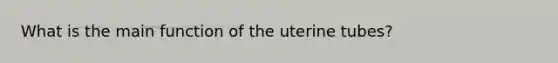 What is the main function of the uterine tubes?