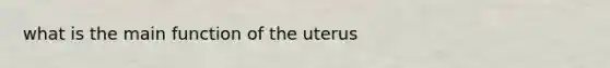 what is the main function of the uterus