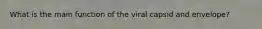 What is the main function of the viral capsid and envelope?