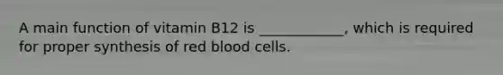 A main function of vitamin B12 is ____________, which is required for proper synthesis of red blood cells.