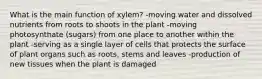 What is the main function of xylem? -moving water and dissolved nutrients from roots to shoots in the plant -moving photosynthate (sugars) from one place to another within the plant -serving as a single layer of cells that protects the surface of plant organs such as roots, stems and leaves -production of new tissues when the plant is damaged