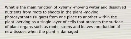 What is the main function of xylem? -moving water and dissolved nutrients from roots to shoots in the plant -moving photosynthate (sugars) from one place to another within the plant -serving as a single layer of cells that protects the surface of plant organs such as roots, stems and leaves -production of new tissues when the plant is damaged