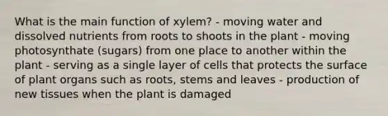 What is the main function of xylem? - moving water and dissolved nutrients from roots to shoots in the plant - moving photosynthate (sugars) from one place to another within the plant - serving as a single layer of cells that protects the surface of plant organs such as roots, stems and leaves - production of new tissues when the plant is damaged