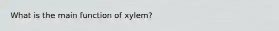 What is the main function of xylem?