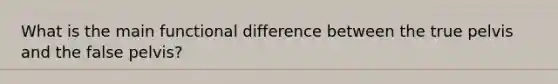 What is the main functional difference between the true pelvis and the false pelvis?