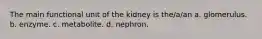 The main functional unit of the kidney is the/a/an a. glomerulus. b. enzyme. c. metabolite. d. nephron.