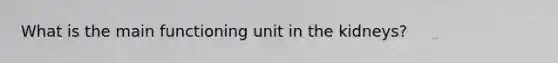 What is the main functioning unit in the kidneys?