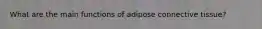 What are the main functions of adipose connective tissue?