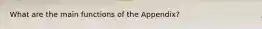 What are the main functions of the Appendix?