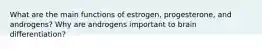 What are the main functions of estrogen, progesterone, and androgens? Why are androgens important to brain differentiation?