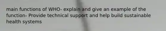 main functions of WHO- explain and give an example of the function- Provide technical support and help build sustainable health systems