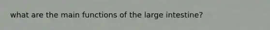 what are the main functions of the <a href='https://www.questionai.com/knowledge/kGQjby07OK-large-intestine' class='anchor-knowledge'>large intestine</a>?