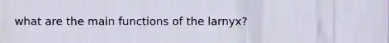 what are the main functions of the larnyx?