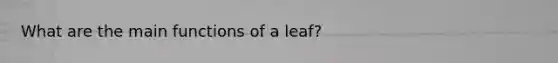 What are the main functions of a leaf?