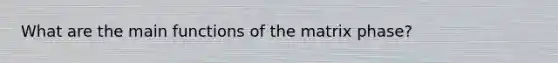 What are the main functions of the matrix phase?