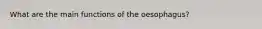 What are the main functions of the oesophagus?