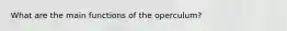 What are the main functions of the operculum?