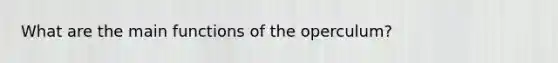 What are the main functions of the operculum?