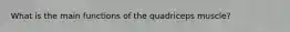 What is the main functions of the quadriceps muscle?