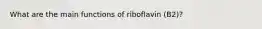 What are the main functions of riboflavin (B2)?