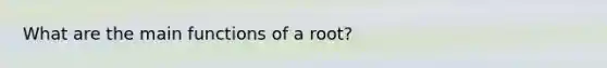 What are the main functions of a root?