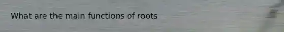 What are the main functions of roots