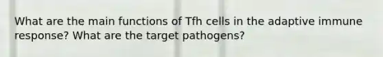 What are the main functions of Tfh cells in the adaptive immune response? What are the target pathogens?