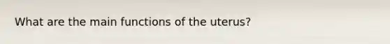 What are the main functions of the uterus?