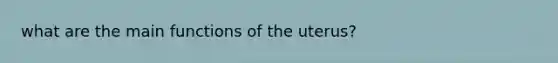 what are the main functions of the uterus?