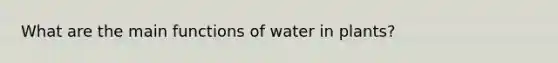 What are the main functions of water in plants?