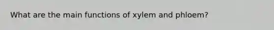 What are the main functions of xylem and phloem?