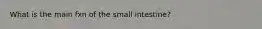 What is the main fxn of the small intestine?