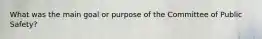 What was the main goal or purpose of the Committee of Public Safety?