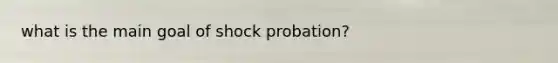 what is the main goal of shock probation?