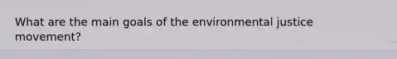 What are the main goals of the environmental justice movement?