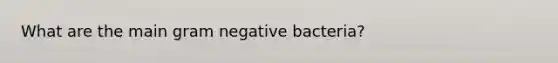 What are the main gram negative bacteria?