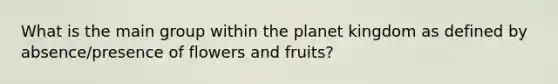 What is the main group within the planet kingdom as defined by absence/presence of flowers and fruits?