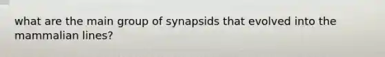 what are the main group of synapsids that evolved into the mammalian lines?