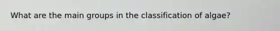 What are the main groups in the classification of algae?