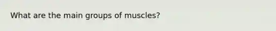 What are the main groups of muscles?