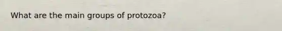 What are the main groups of protozoa?