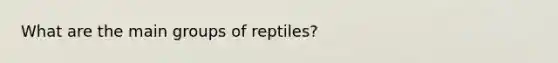 What are the main groups of reptiles?