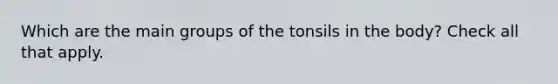 Which are the main groups of the tonsils in the body? Check all that apply.