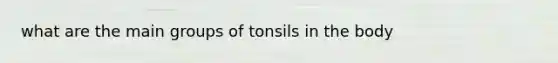 what are the main groups of tonsils in the body