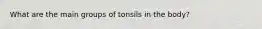 What are the main groups of tonsils in the body?