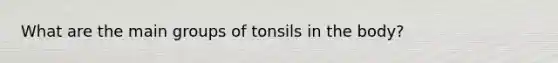 What are the main groups of tonsils in the body?