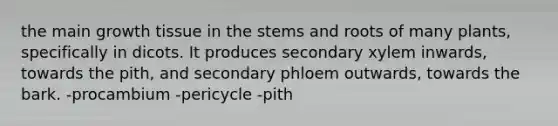 the main growth tissue in the stems and roots of many plants, specifically in dicots. It produces secondary xylem inwards, towards the pith, and secondary phloem outwards, towards the bark. -procambium -pericycle -pith