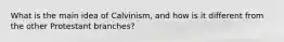 What is the main idea of Calvinism, and how is it different from the other Protestant branches?